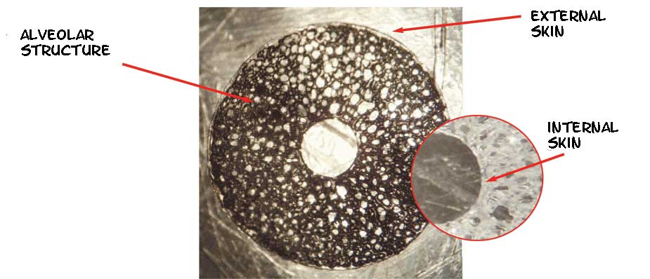 coaxial cable foamed dielectric structure